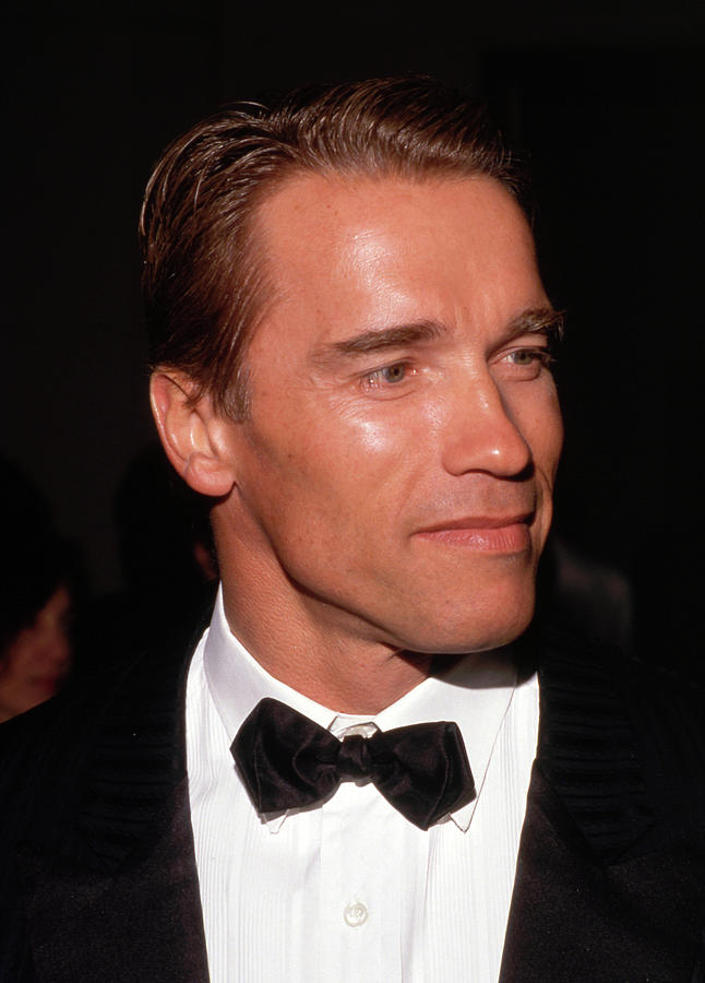 Arnold Schwarzenegger Photograph - Arnold Schwarzenegger #4 by Mediapunch