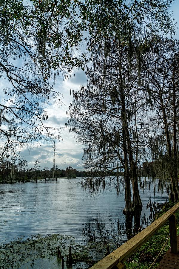 Water Photograph - Around The Park by Ric Schafer Water Photograph - Around The Park by Ric Schafer