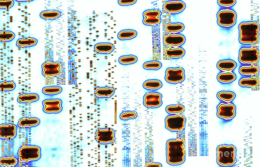 Artwork Of An Autoradiogram Showing Dna Sequences #4 Photograph by Alfred Pasieka/science Photo Library