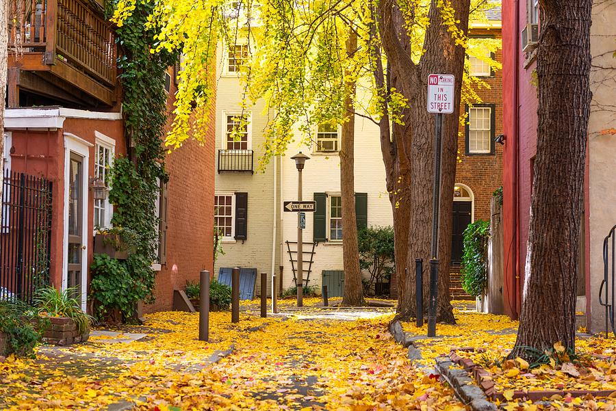 Tree Photograph - Autumn Alleyway In A Traditional #4 by Sean Pavone