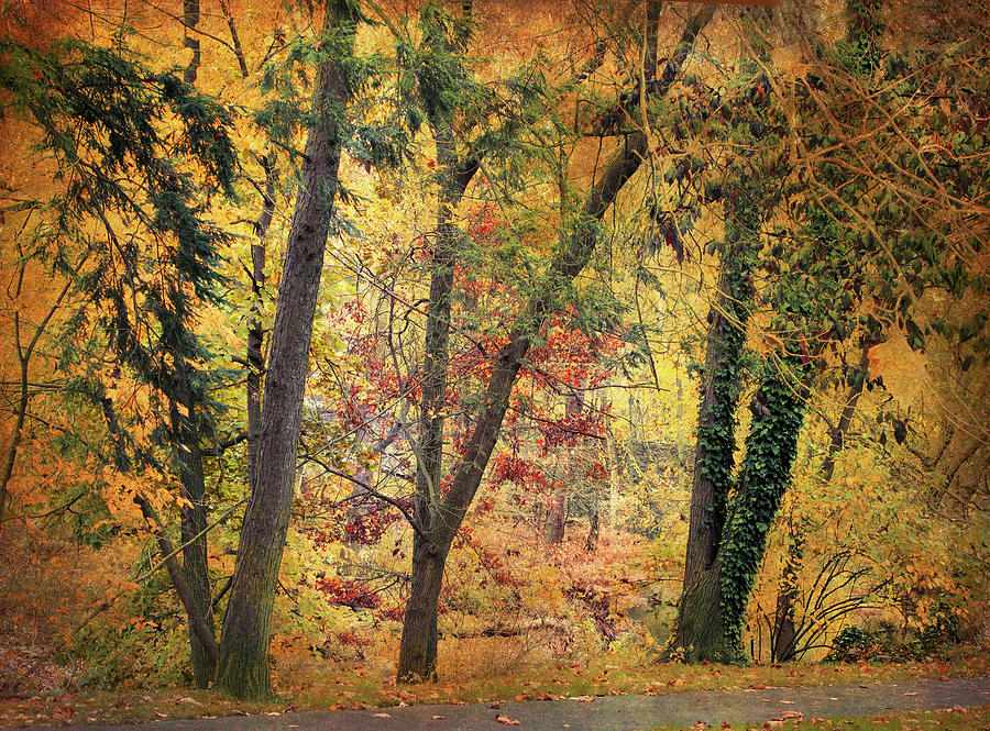 Autumn Canvas #4 Photograph by Jessica Jenney