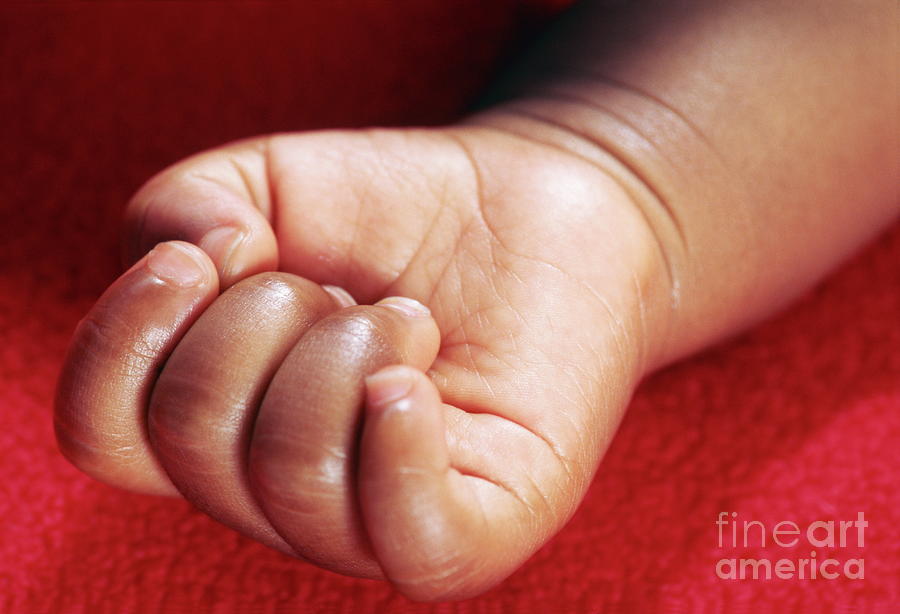 Babys Hand #4 Photograph by Paul Whitehill/science Photo Library