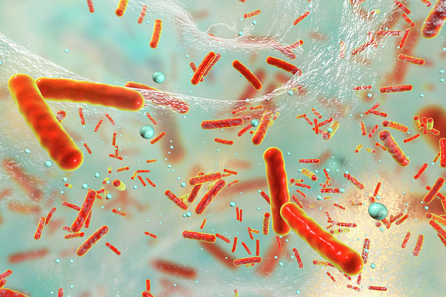 Bacteria In A Biofilm, Illustration #4 Photograph by Kateryna Kon