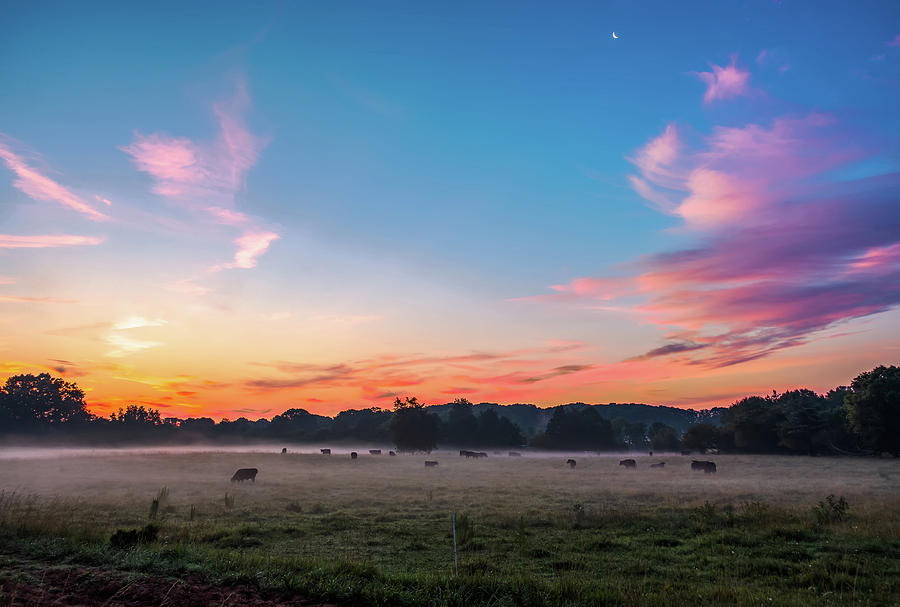 Beautiful Dreamy Sunrise On The Farm Land In The Country #4 Photograph by Alex Grichenko