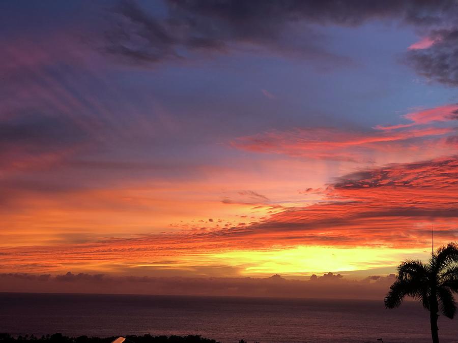 Sunset Photograph - Beauty #4 by Karen Nicholson