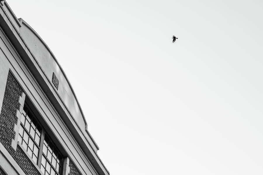 Birds of a Feather by Kolter Gunn Birds of a Feather by Kolter Gunn
