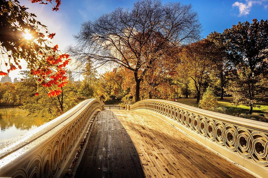 Bow Bridge In Central Park, Nyc #4 Digital Art by Antonino Bartuccio