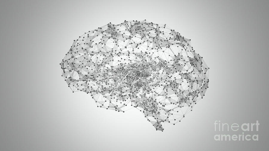 Brain Neural Network #4 Photograph by Jesper Klausen/science Photo Library