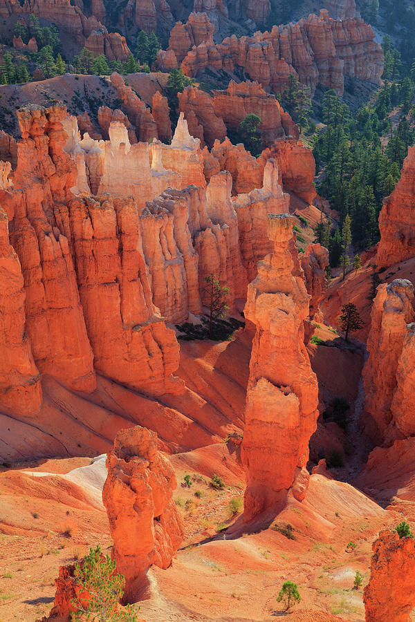 Bryce Canyon National Park #4 Photograph by Michele Falzone