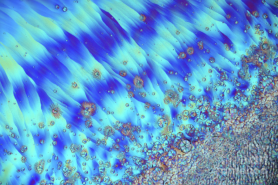 Bubbles In Sucrose And Zinc Sulphate #4 Photograph by Karl Gaff / Science Photo Library