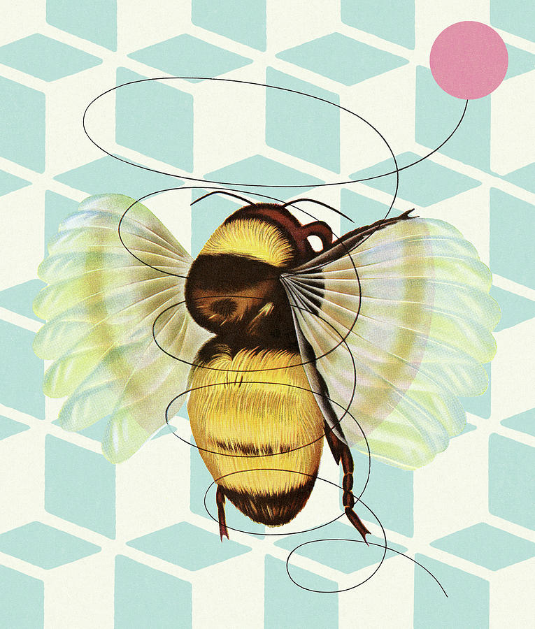 Vintage Drawing - Bumble Bee #4 by CSA Images