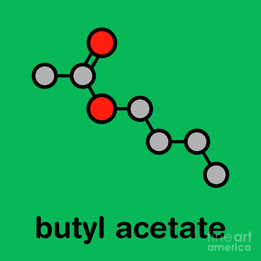 Butyl Acetate Molecule #4 by Molekuul/science Photo Library