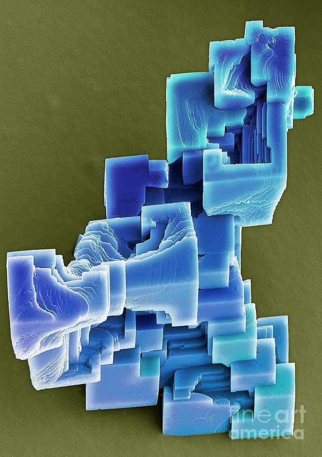 Calcium Carbonate Crystals #4 Photograph by Steve Gschmeissner/science Photo Library