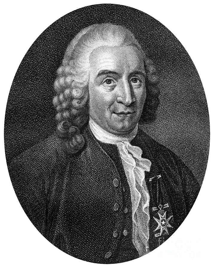 Carolus Linnaeus, 18th Century Swedish #4 Drawing by Print Collector