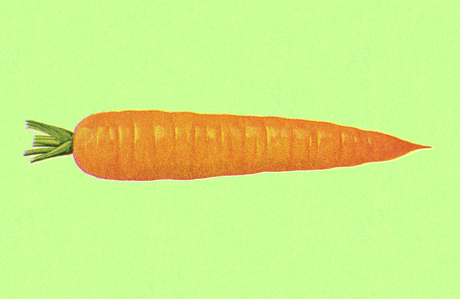 Carrot Drawing - Carrot #4 by CSA Images