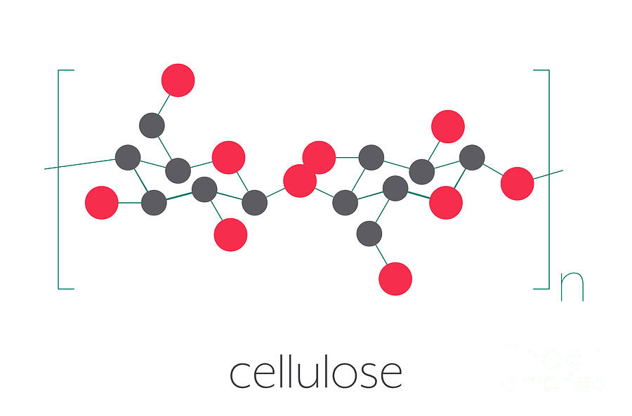 cellulose structure 3d