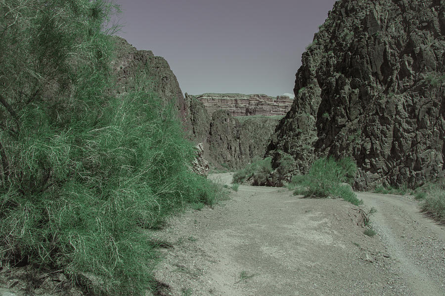 Charyn canyon in kazachstan and the valley of castles by Kim Vermaat Charyn canyon in kazachstan and the valley of castles by Kim Vermaat