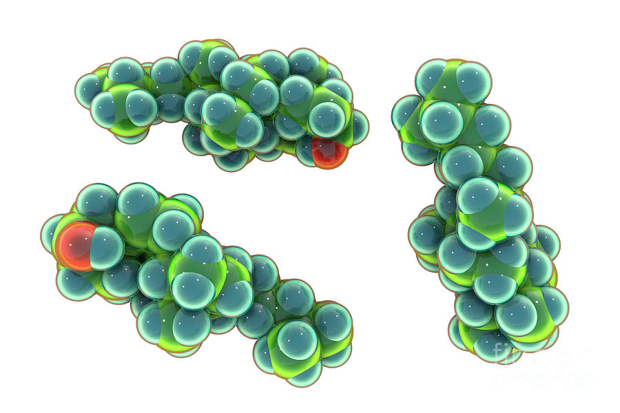 Cholesterol Molecule #4 by Kateryna Kon/science Photo Library
