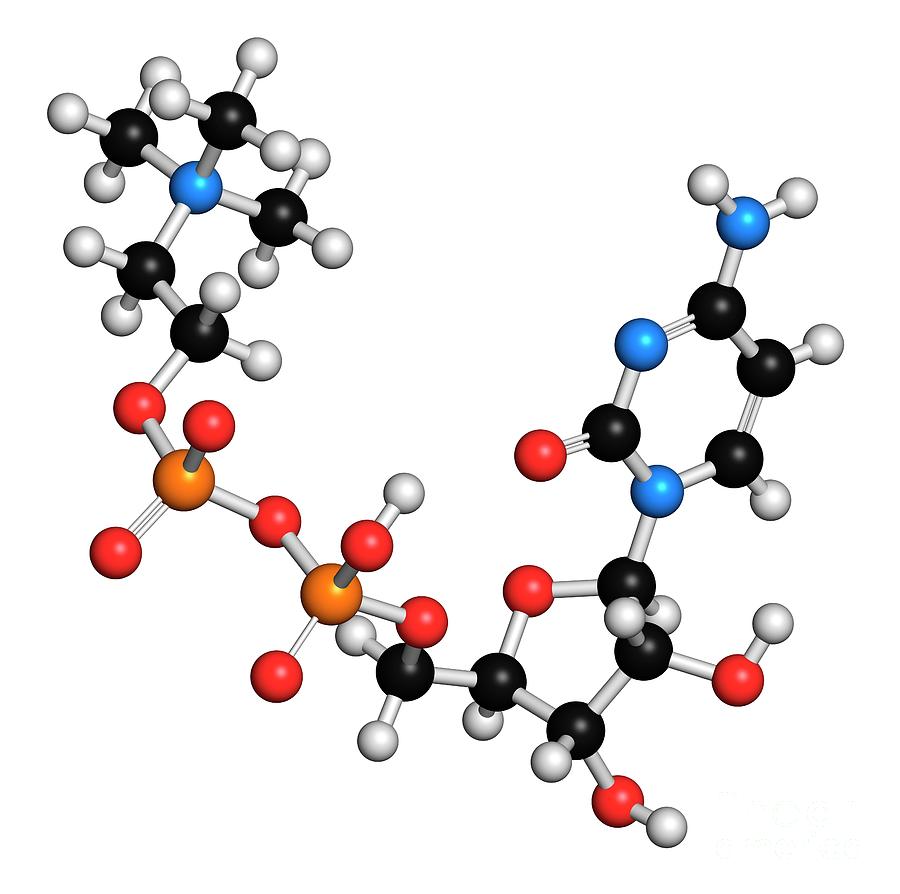 Citicoline Molecule #4 Photograph by Molekuul/science Photo Library