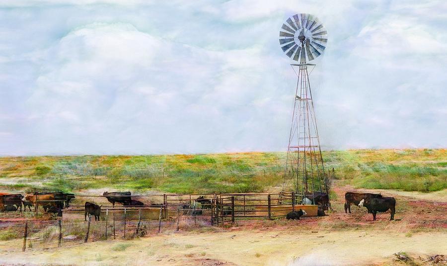 Classic Cattle  Digital Art by Don Northup