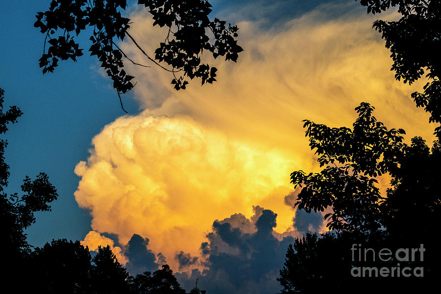 Cloud by FineArtRoyal Joshua Mimbs Cloud by FineArtRoyal Joshua Mimbs