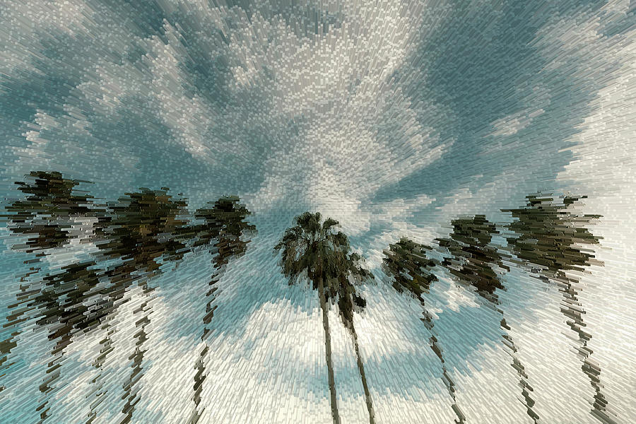 Cluster Of Tall Tropical Palm Trees #4 Digital Art by Laura Diez