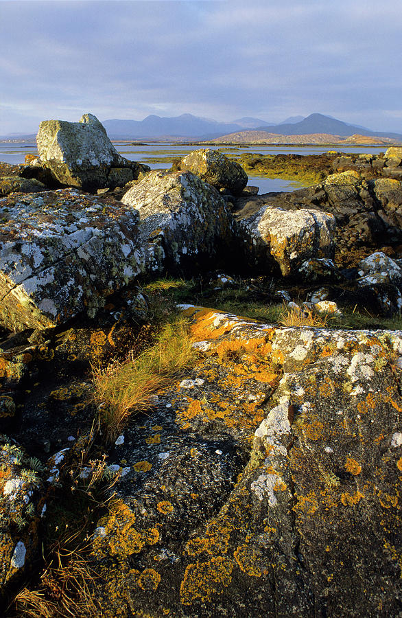 Coastal Landscape With Rocks And Seaweed, Betraghboy Bay, Connemara, Co. Galway, Ireland, Europa #4 Photograph by H.& D. Zielske