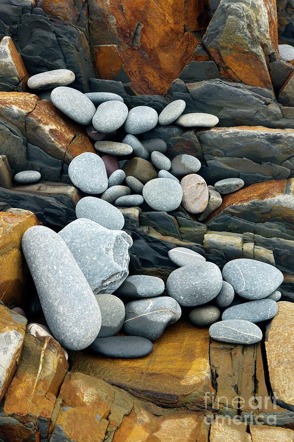 Coastal Rocks #4 Photograph by Dr Keith Wheeler/science Photo Library