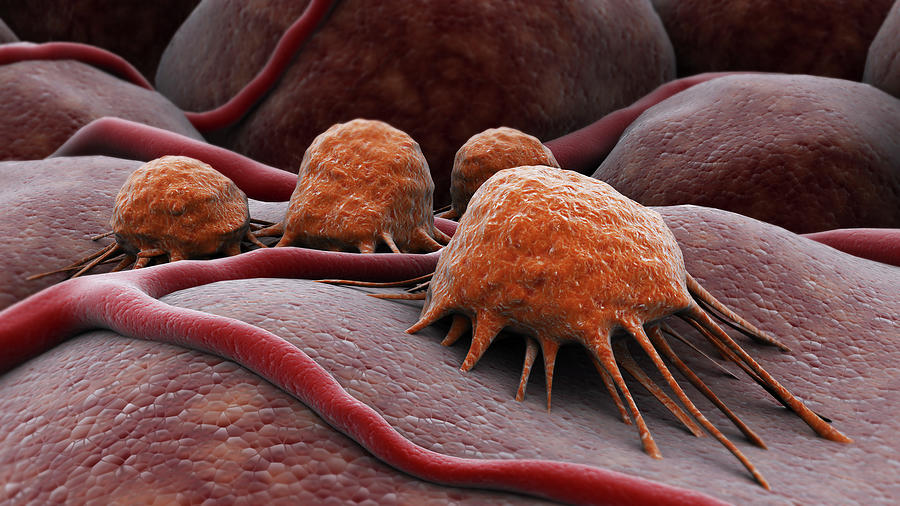 Conceptual Image Of Cancer Virus #4 Photograph by Stocktrek Images