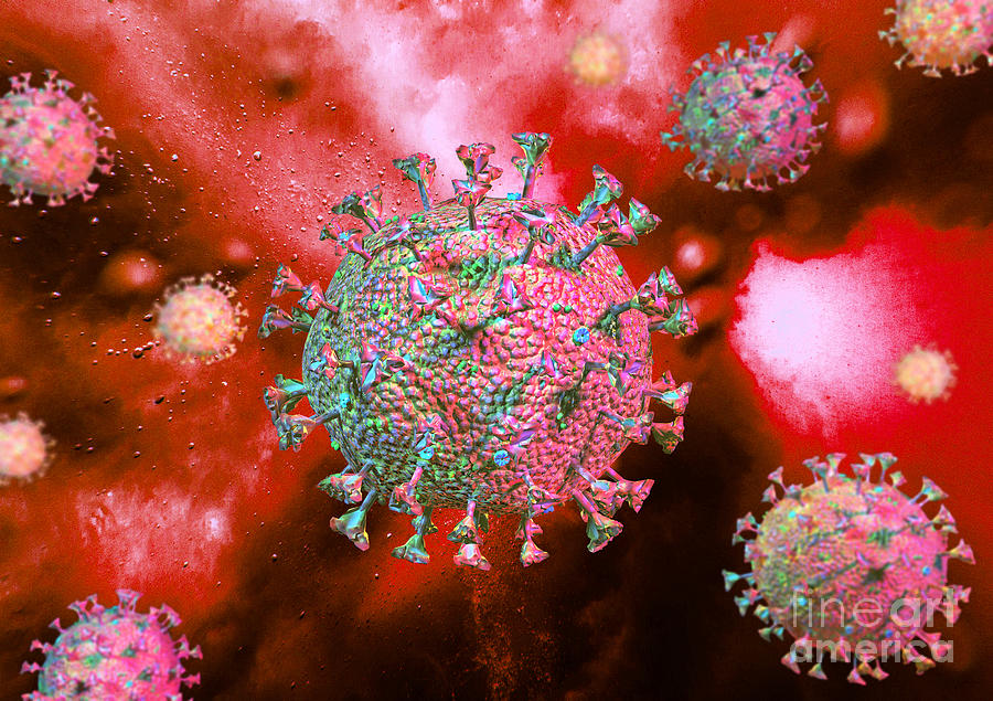 Coronavirus #4 Photograph by Leonello Calvetti/science Photo Library