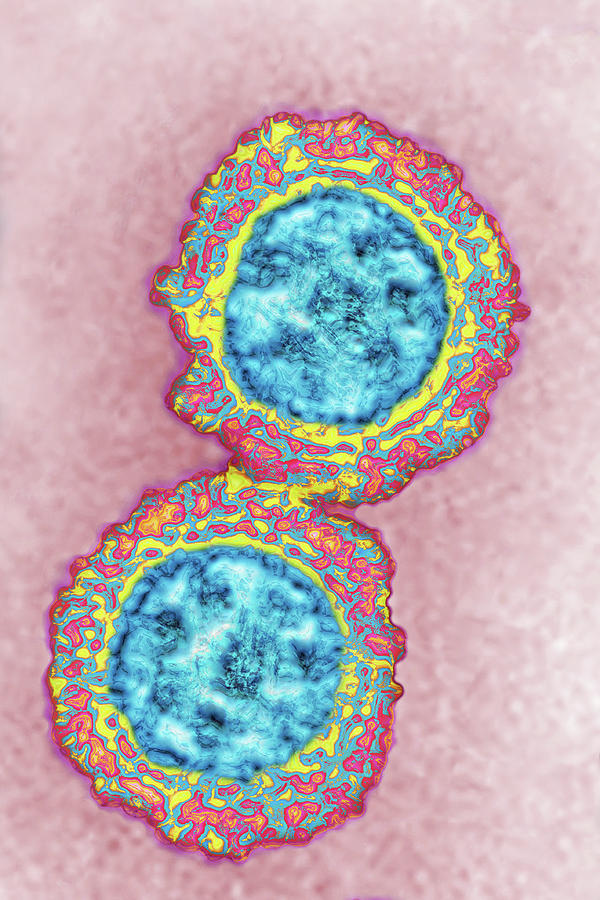 Coronavirus, Tem #4 Photograph by James Cavallini
