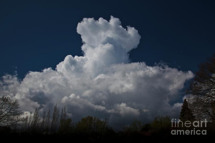 Spring Photograph - Cumulus Congestus Clouds Over Trees #4 by Stephen Burt/science Photo Library