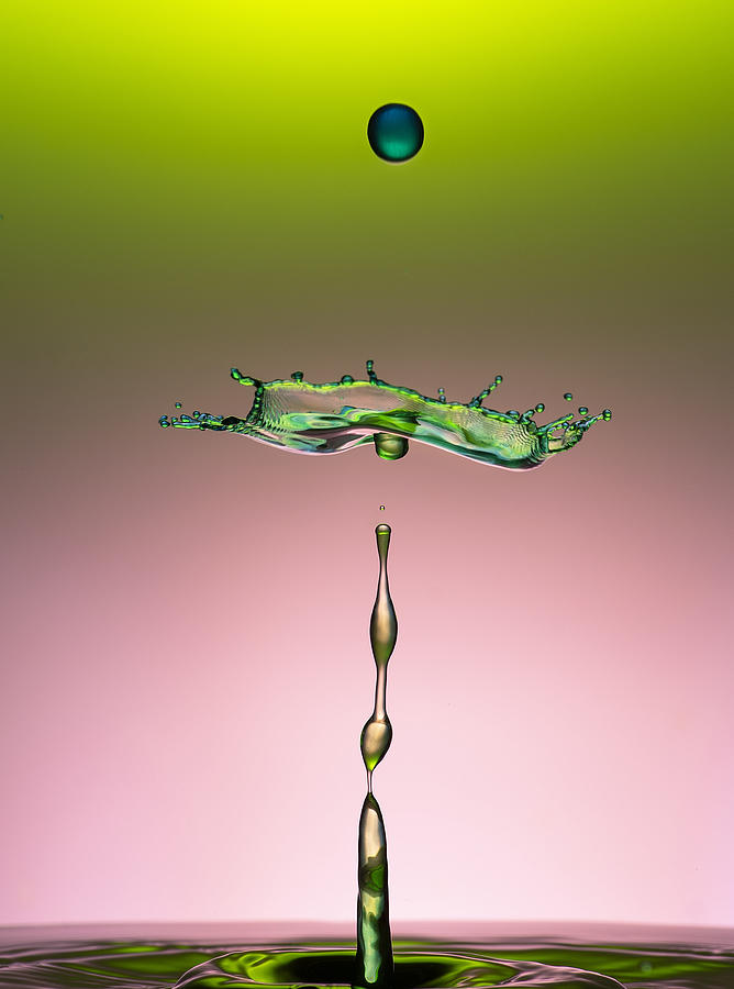 Dances With Drops Photograph by Yousef Sayadi - Fine Art America