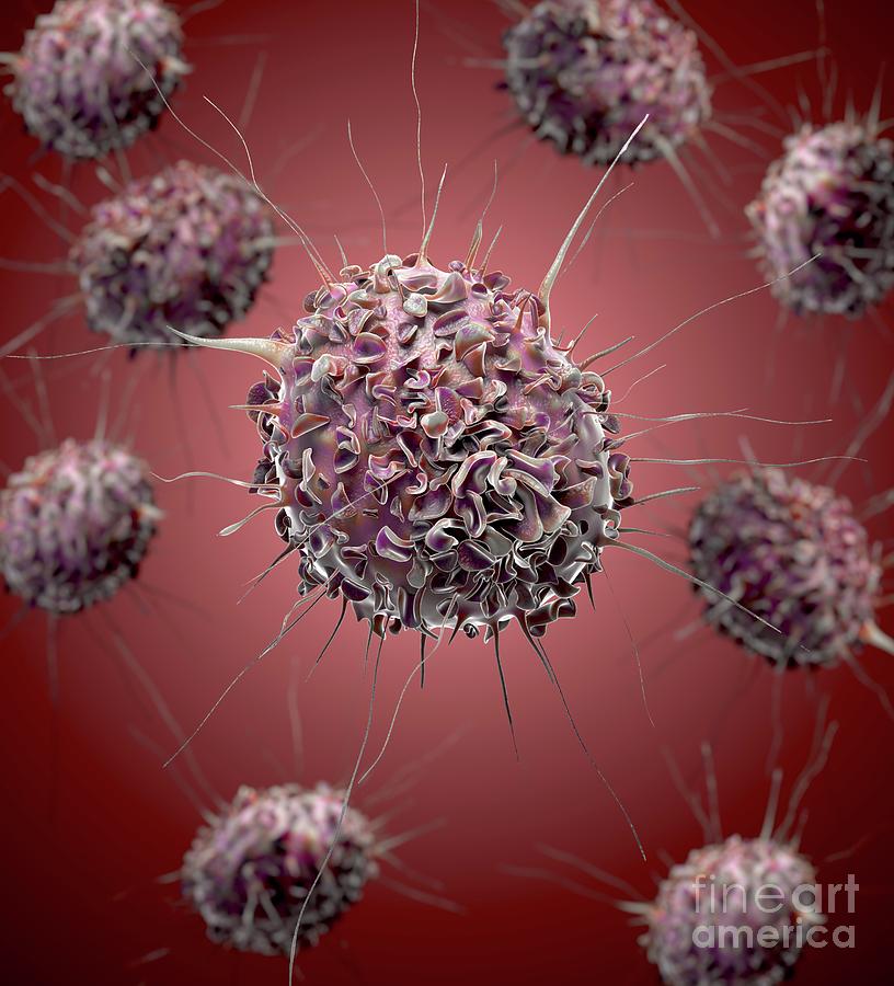 Dendritic Cells #4 Photograph by Tim Vernon / Science Photo Library