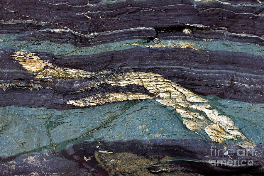Devonian Slates #4 Photograph by Dr Keith Wheeler/science Photo Library