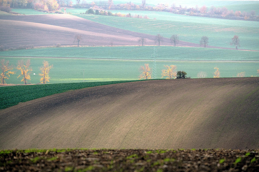 Autumn in South Moravia 4 Photograph by Dubi Roman