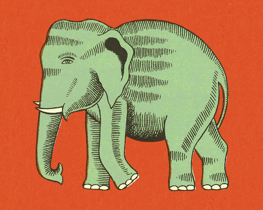Vintage Drawing - Elephant #4 by CSA Images