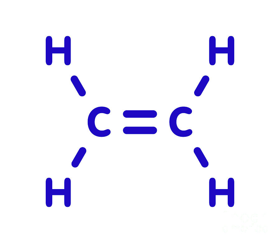 lewis structure of ethylene