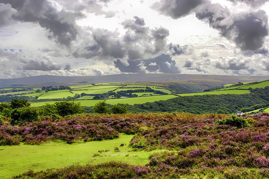 Exmoor by Chris Smith Exmoor by Chris Smith