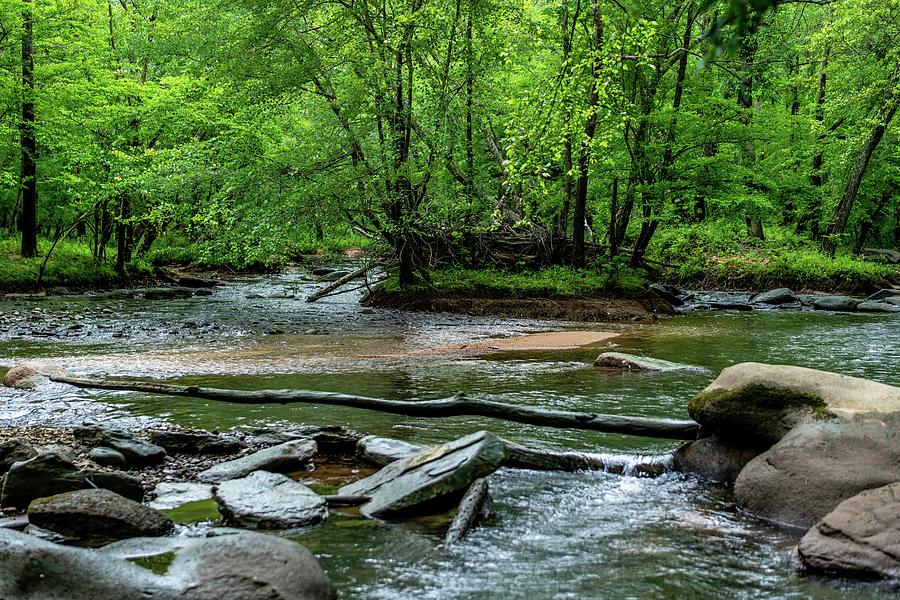Waterfall Photograph - Fabulous Broad River by Ric Schafer Waterfall Photograph - Fabulous Broad River by Ric Schafer
