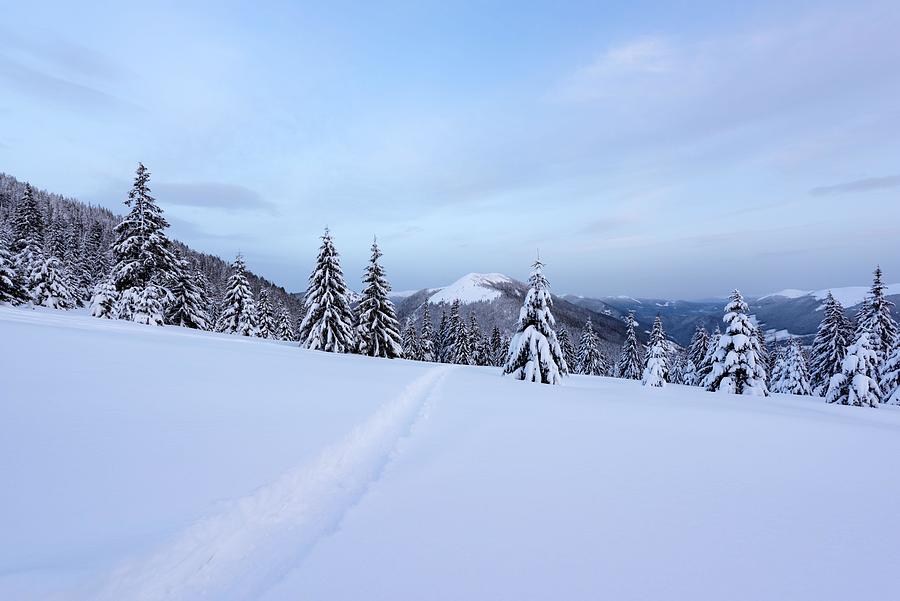 Winter Photograph - Fantastic Winter Landscape With Snowy #4 by Ivan Kmit