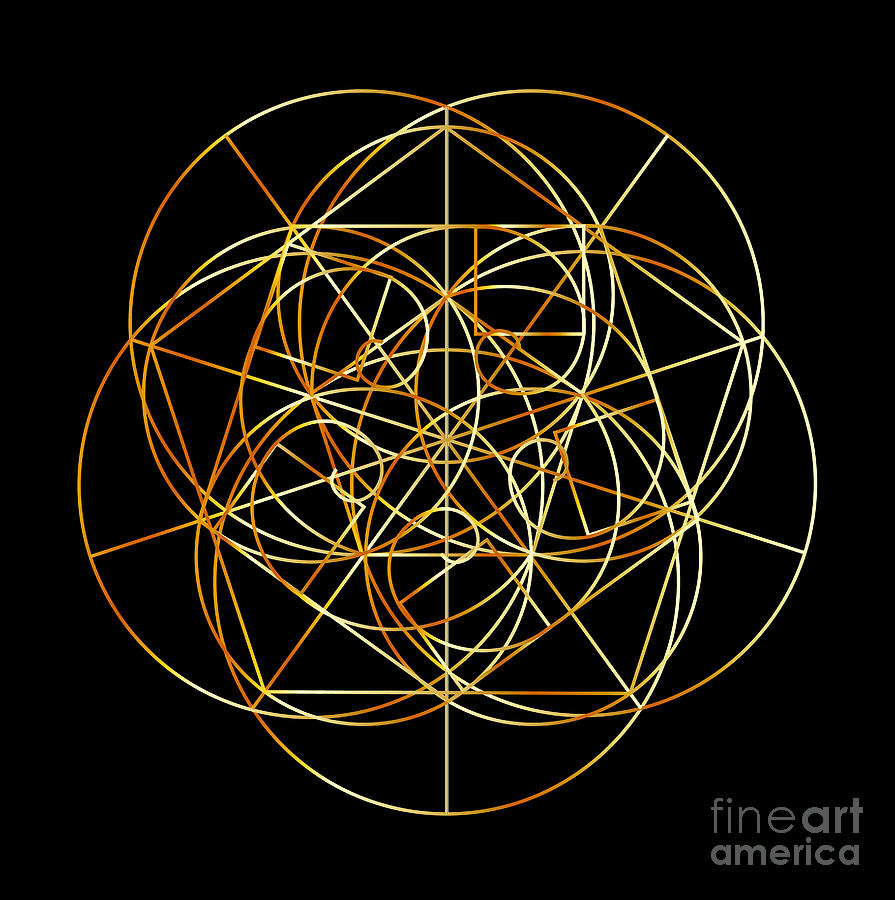 fibonacci sequence spiral art
