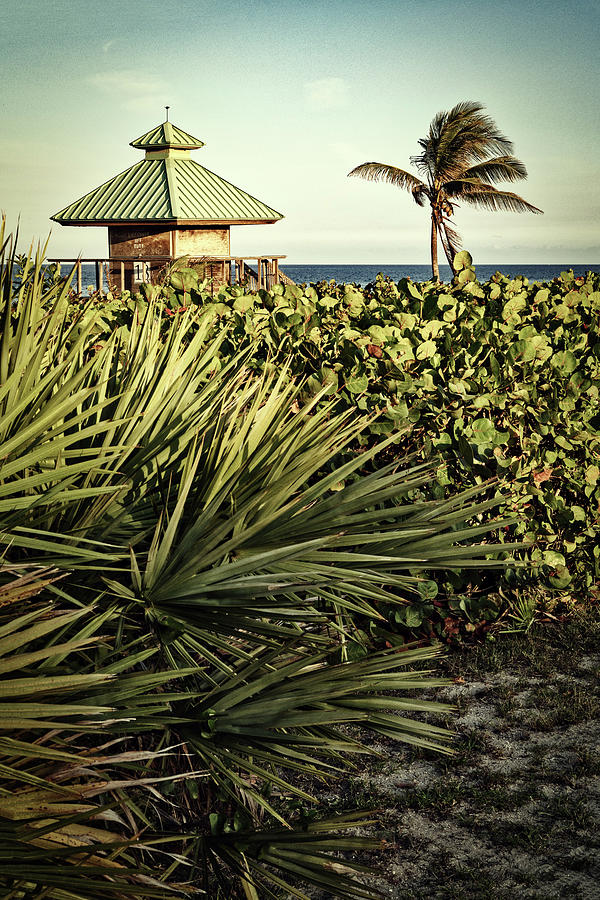 Florida, Boca Raton, Lifeguard Tower & Palm Tree On The Beach #4 Digital Art by Laura Diez