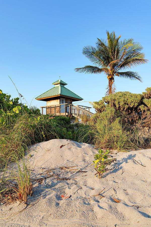 Florida, Boca Raton, Lifeguard Tower With Palm Tree At The Beach #4 Digital Art by Laura Diez