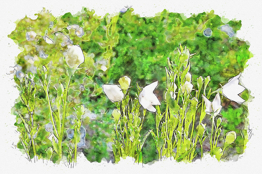 Flower #watercolor #sketch #flower #nature #4 Digital Art by TintoDesigns