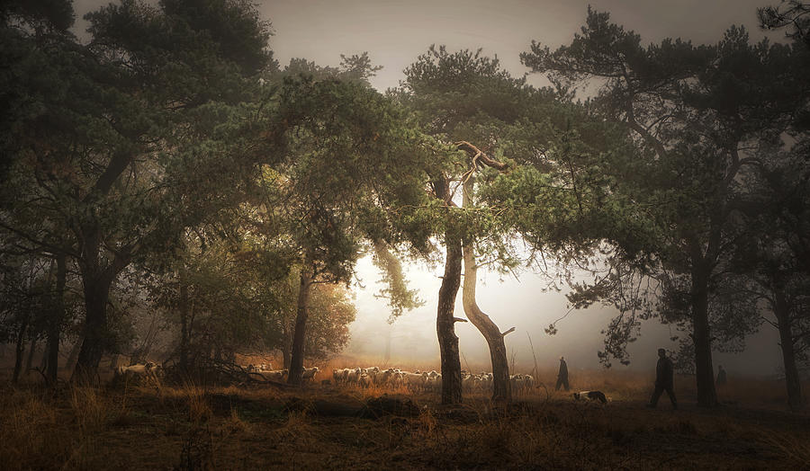 Nature Photograph - Foggy Memory  Of The Past #4 by Saskia Dingemans
