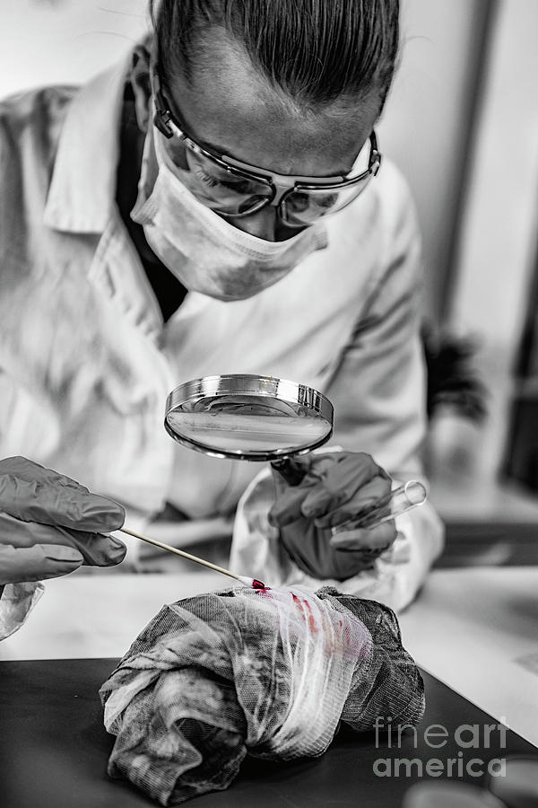 Forensic Expert Examining Crime Scene Evidence 4 By Microgen Images Science Photo Library