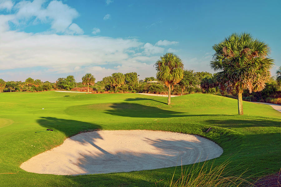 Golf Course In Boca Raton Florida #4 Digital Art by Laura Zeid