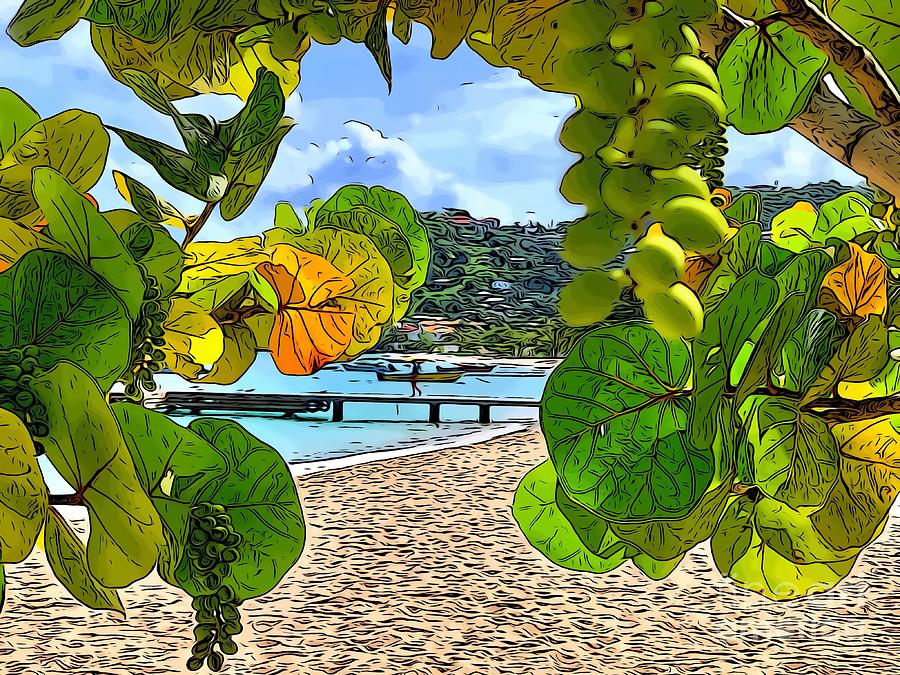 Grand Anse Beach #4 Digital Art by Laura Forde