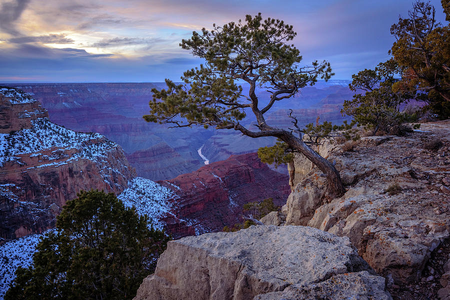 Grand Canyon, Arizona, Usa #4 Digital Art by Heeb Photos